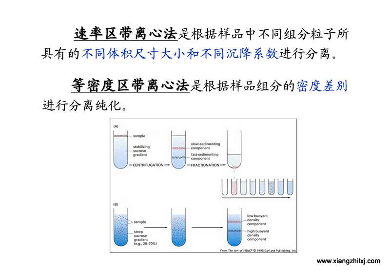 離心機知識圖解大全