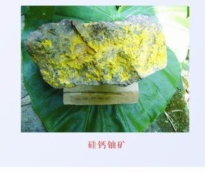 沒有離心機(jī)，第一顆原子彈的鈾從哪里來？